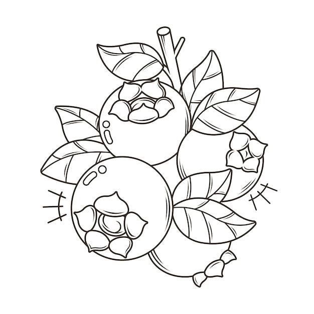 fruit of the spirit coloring page pdf