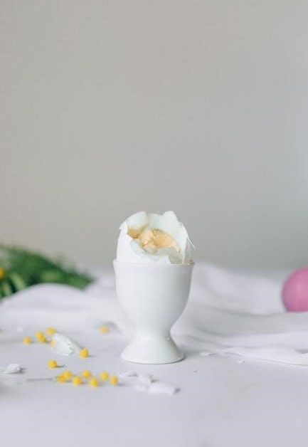 hard boiled egg cooker instructions