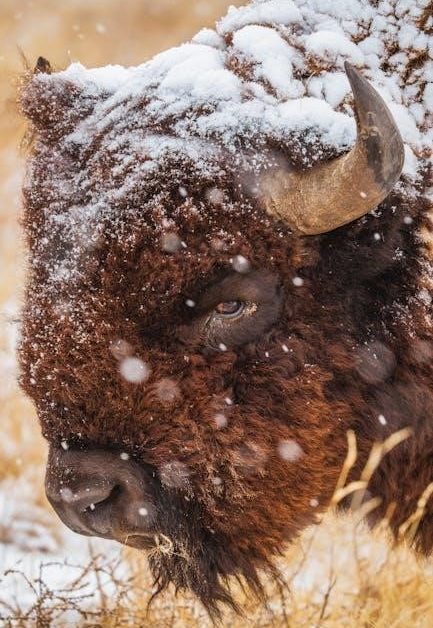 bill of sale colorado pdf