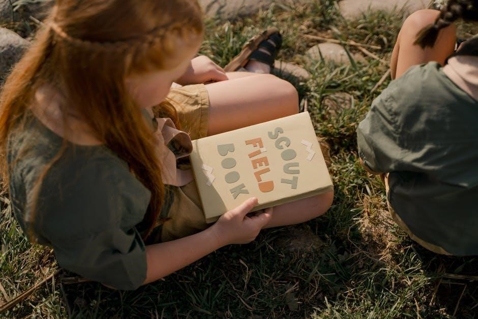 networks guided reading activity